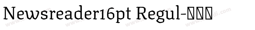 Newsreader16pt Regul字体转换